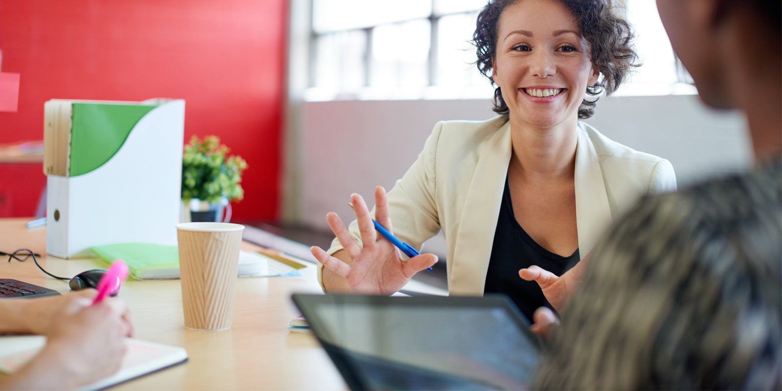 Schedule A Consultation - Diener & Associates
