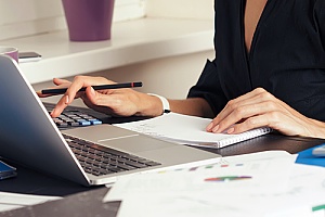 a government employee performing a DCAA audit for a potential government contractor