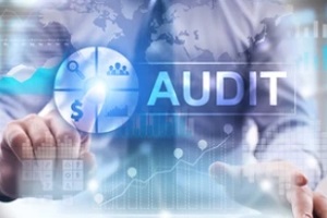 audit concept